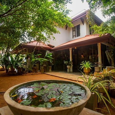 Evergreen Hotel Дамбула Екстериор снимка
