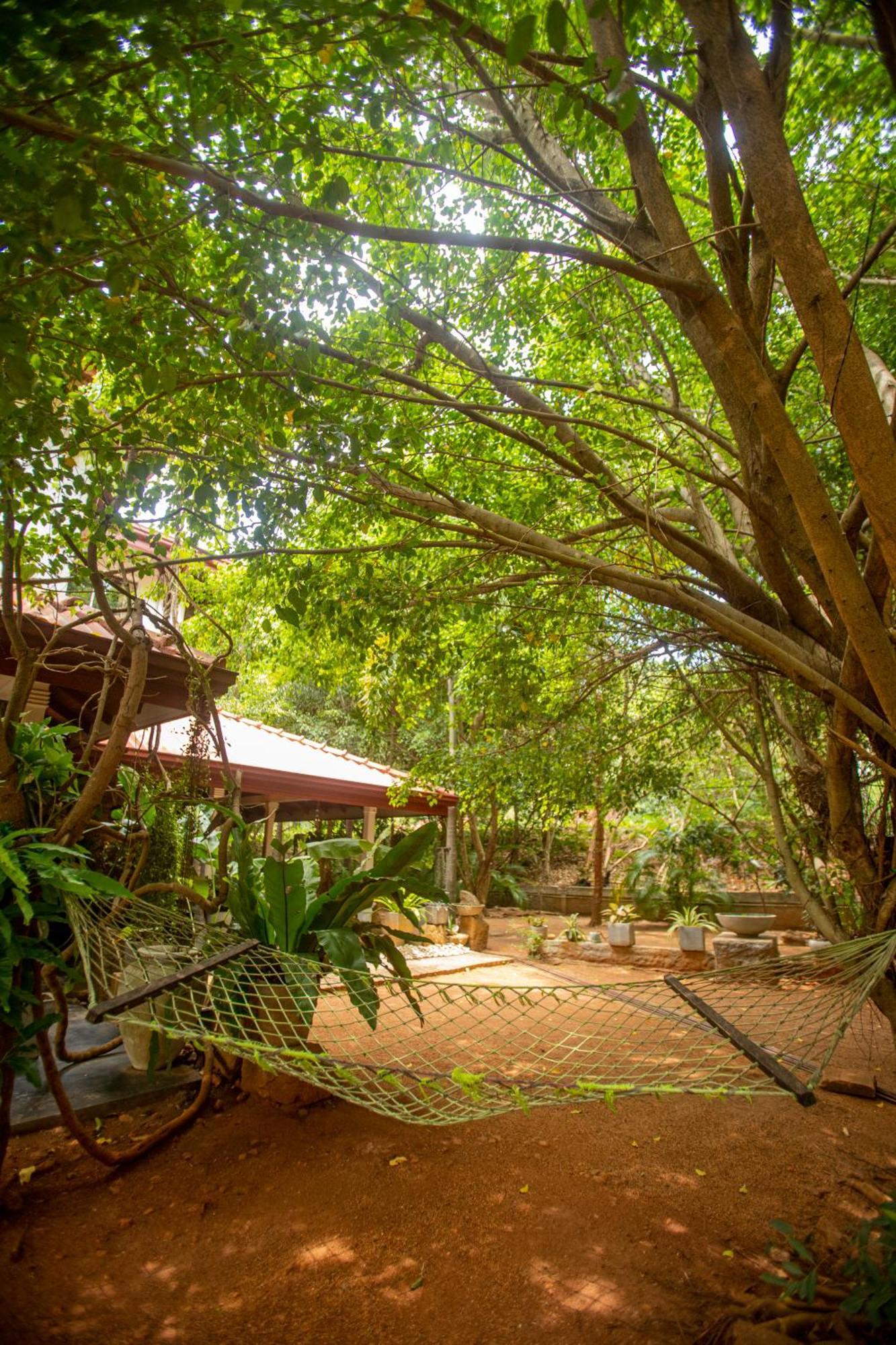 Evergreen Hotel Дамбула Екстериор снимка